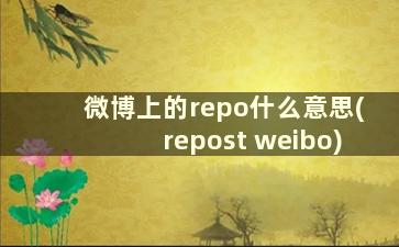 微博上的repo什么意思(repost weibo)